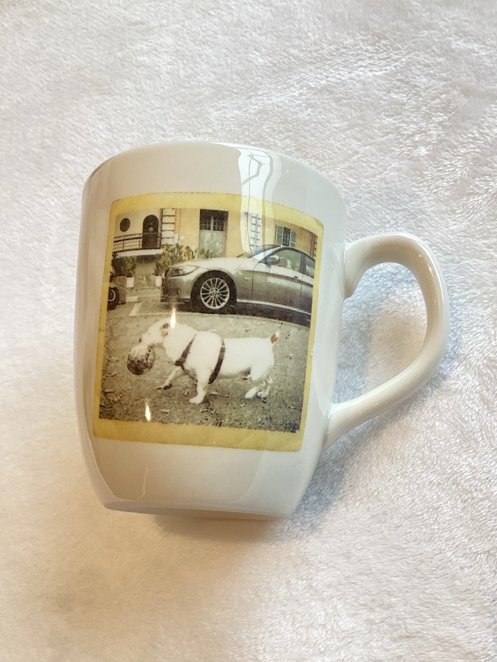 Rae Dunn Polaroid Dog Mug Artisan Magenta Keep Calm and Carry a Ball Bully